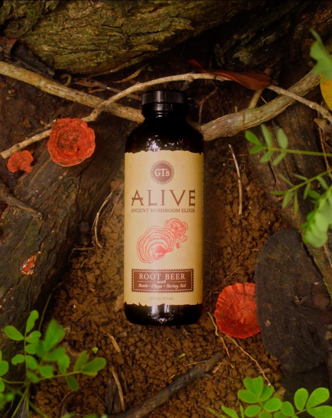 Alive Running